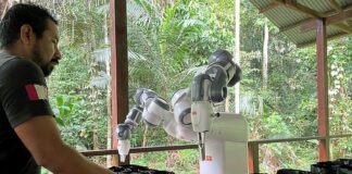 abb robots helping amazon reforestation project